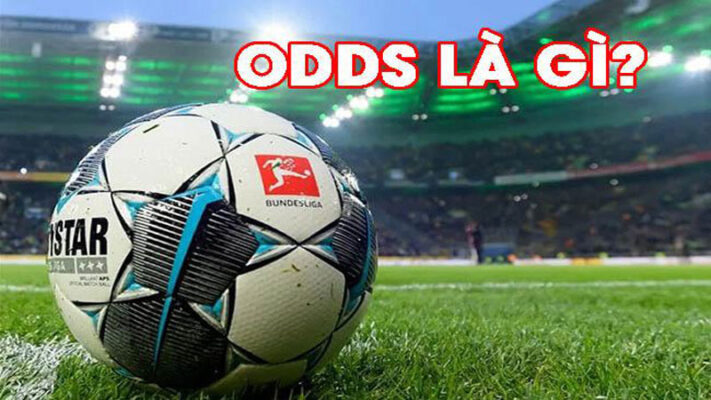 các loại odds trong cá cược