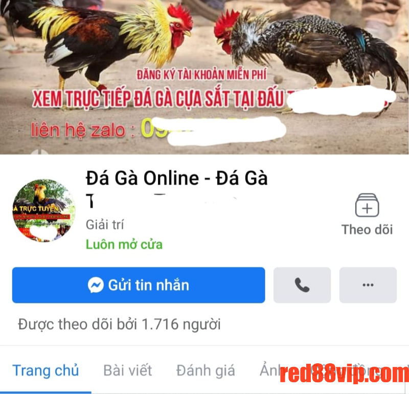 Nhận biết đá gà lừa đảo