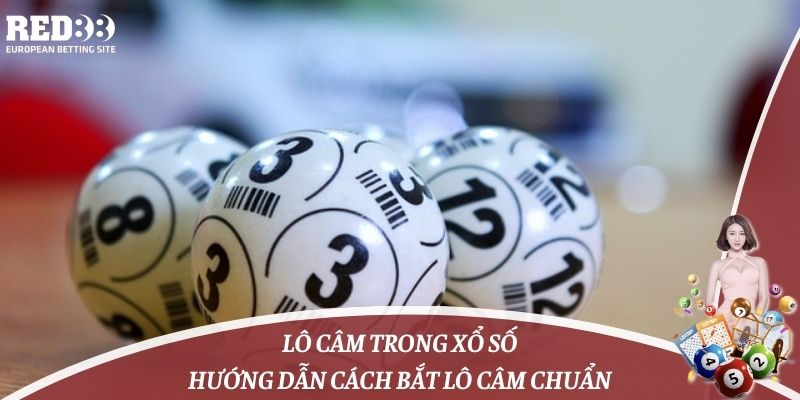 Lô Câm Trong Xổ Số: Hướng Dẫn Cách Bắt Lô Câm Chuẩn