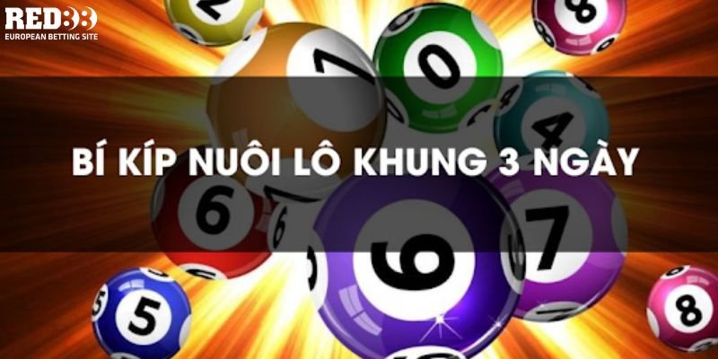 Nuôi lô khung dựa vào bạch thủ khung 3 ngày